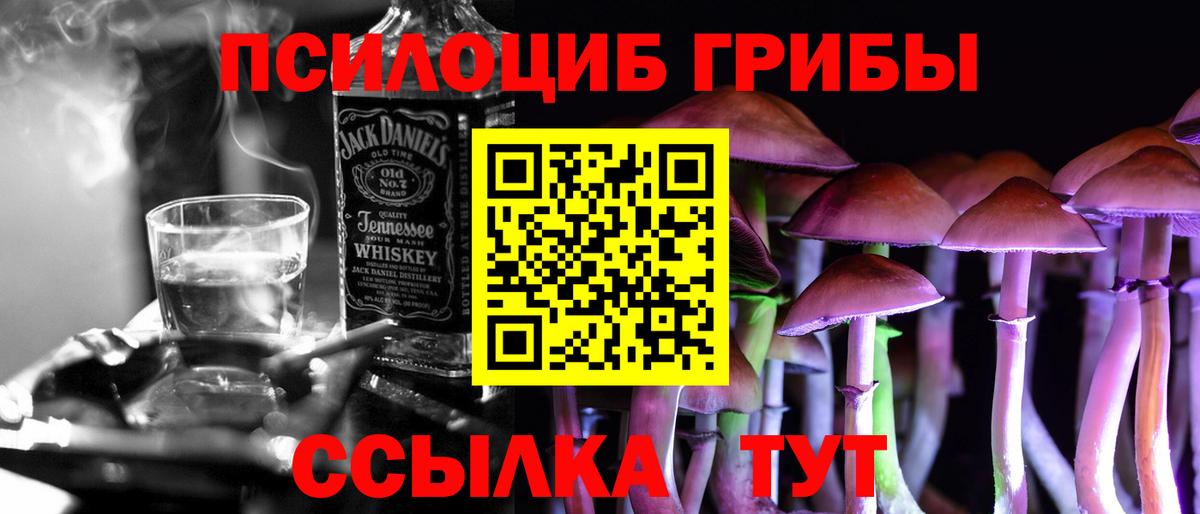 Псилоцибиновые грибы MAGIC MUSHROOMS  Вход с VPN  Северобайкальск  Псилоцибиновые грибы GOLDEN TEACHER 